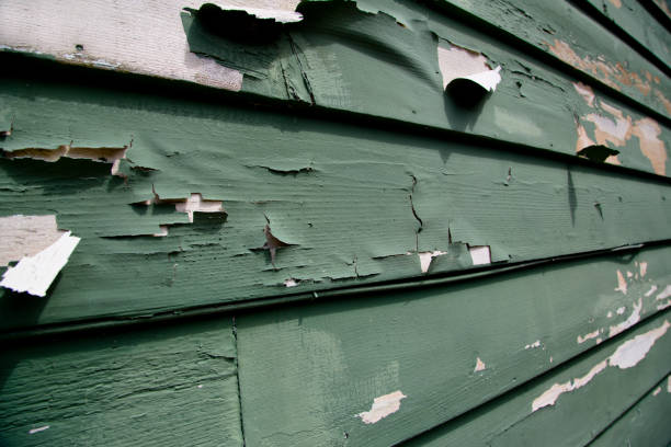 Best Residential Junk Removal  in Kouts, IN