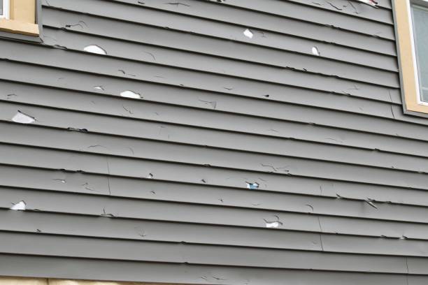 Best Dumpster Rental Services  in Kouts, IN